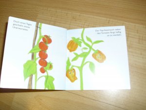 gebrauchtes Buch – Tom, die freche Tomate Nr. 1 Flucht aus dem Gemüsegarten