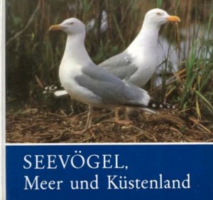 Seevögel, Meer und Küstenland - Für junge Natur- und Tierfreunde