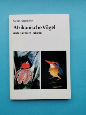 Afrikanische Vögel nach Farbfotos erkannt