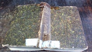 gebrauchte Buecher