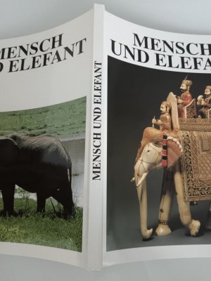 Mensch und Elefant