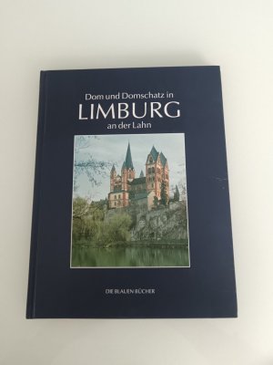 gebrauchtes Buch – Kloft, Matthias Th – Dom und Domschatz in Limburg