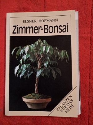 Zimmer-Bonsai