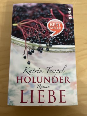 gebrauchtes Buch – Katrin Tempel – Holunderliebe