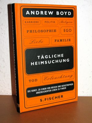 Tägliche Heimsuchung - Die Kunst, zu einem an Krisen und Katastrophen reichen Leben zu finden