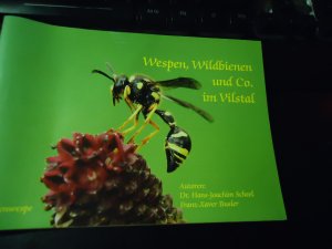 Wespen, Wildbienen und Co. im Vilstal