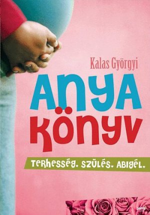 gebrauchtes Buch – Kalas Györgyi – Anyakönyv - Terhesség, szülés, Abigél