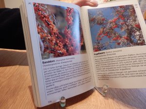 gebrauchtes Buch – Einhard Bezzel – Natur entdecken / Kilda Naturführer