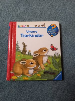 gebrauchtes Buch – Andrea Erne – Unsere Tierkinder