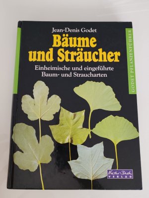 Bäume und Sträucher