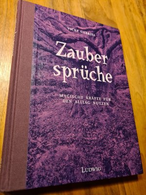 gebrauchtes Buch – Vicky Gabriel – Zaubersprüche