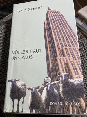 gebrauchtes Buch – Jochen Schmidt – Müller haut uns raus