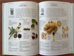 gebrauchtes Buch – Penelope Ody – Naturmedizin Heilkräuter