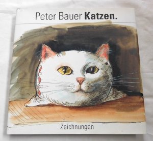 Katzen - Zeichnungen