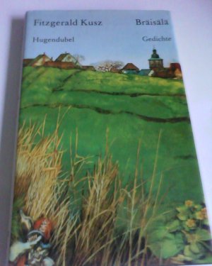 gebrauchtes Buch – Fitzgerald Kusz – Bräisälä