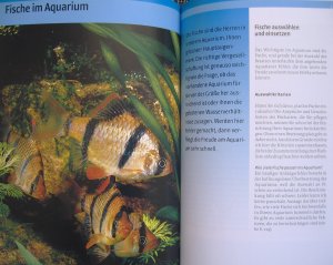 gebrauchtes Buch – Klaus Wilkerling – Aquarienfibel - Fische und Pflanzen im Süßwasseraquarium / vollständig überarbeitete und neu bebilderte Auflage