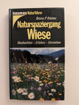 Naturspaziergang Wiese