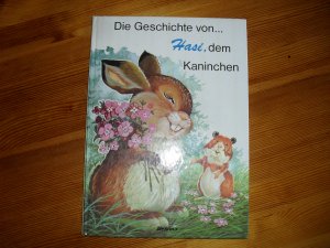 gebrauchtes Buch – Albers, B. / Mattoni – Die Geschichte von Hasi, dem Kaninchen