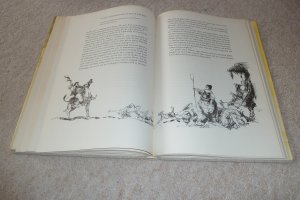 gebrauchtes Buch – Miguel de Cervantes Saavedra – Don Quijote