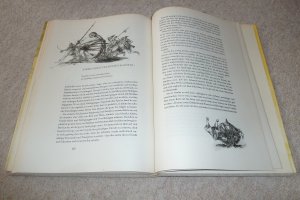 gebrauchtes Buch – Miguel de Cervantes Saavedra – Don Quijote