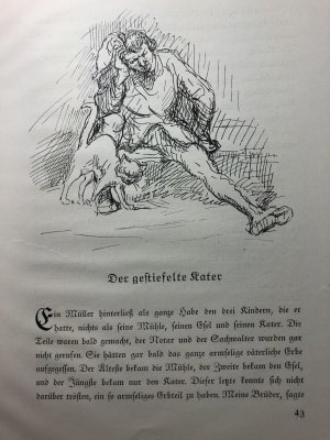 antiquarisches Buch – Gebrüder Grimm – Das Märchenbuch / dreizehntes Buch