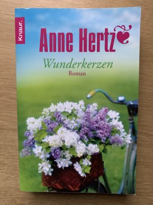 gebrauchtes Buch – Anne Hertz – Wunderkerzen