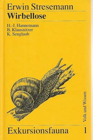 Wirbellose (ohne Insekten)