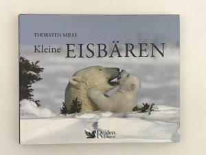 Kleine Eisbären