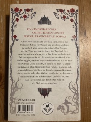 gebrauchtes Buch – Schwab, V. E – Gallant - Im Garten der Schatten