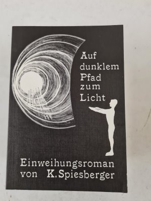 Auf dunklem Pfad zum Licht - Einweihungsroman