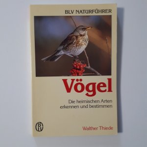 gebrauchtes Buch – Walther Thiede – Vögel