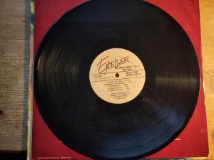 gebrauchter Tonträger – Bee Gees – The Bee Gees Bonanza - The Early Years Vol. 2