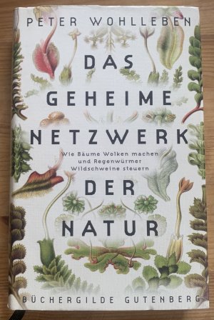 Das Geheime Netzwerk der Natur • Wie Bäume Wolken machen und Regenwürmer Wildschweine steuern