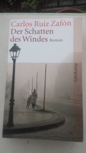 Der Schatten des Windes