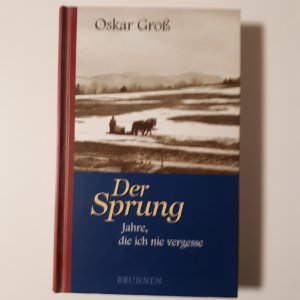 gebrauchtes Buch – Oskar Groß – Der Sprung