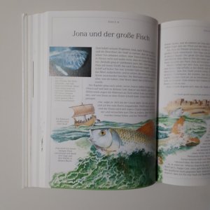 gebrauchtes Buch – Selina Hastings – Illustrierte Bibel für Kinder