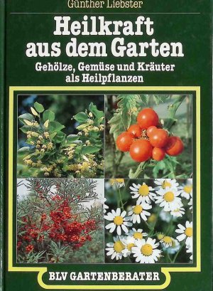 gebrauchtes Buch – Günther Liebster – Heilkraft aus dem Garten : Gehölze, Gemüse u. Kräuter als Heilpflanzen. BLV-Gartenberater