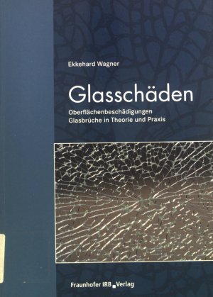 Glasschäden : Oberflächenbeschädigungen, Glasbrüche in Theorie und Praxis.