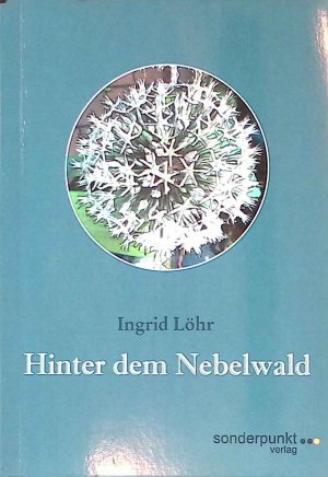 Hinter dem Nebelwald : Erzählungen. Sonderpunkt ; 75