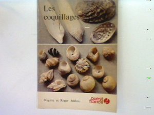 Les coquillages