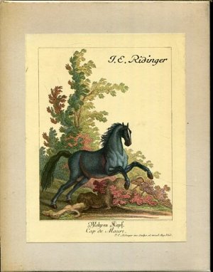 gebrauchtes Buch – Ridinger, Johann Elias und Max Piendl – Vorstellung der Pferde nach ihren Hauptfarben und derselben verschiedenen Abtheilungen, Complexion [Abteilungen, n] und der daraus entspringenden Beschaffenheit = Description du cheval selon ses poils principaux et leurs diverses divisions, sa complexion et les qualités qui en resultent.