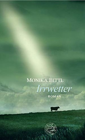 gebrauchtes Buch – Monika Bittl – Irrwetter. Roman.