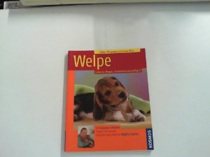 gebrauchtes Buch – Brigitte Harries – Welpe: Halten & Pflegen, Verstehen & Beschäftigen.