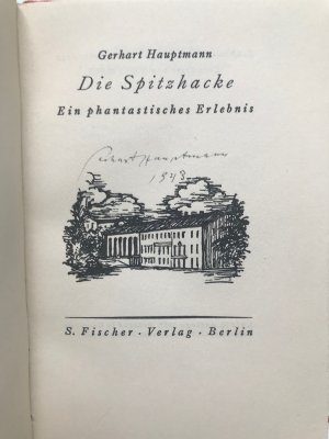 Die Spitzhacke, ein phantastisches Erlebnis