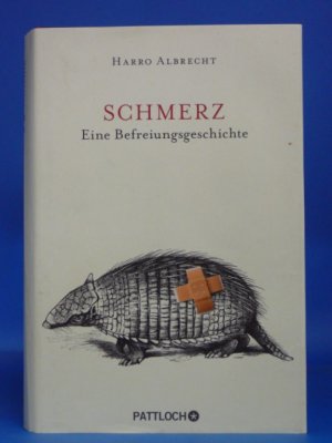 gebrauchtes Buch – Harro Albrecht – Schmerz. Eine Befreiungsgeschichte