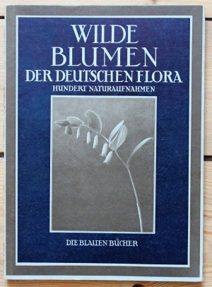 antiquarisches Buch – Paul Dobe – Wilde Blumen der deutschen Flora : Mit Vorbemerkg. Die blauen Bücher