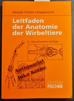 gebrauchtes Buch – Kämpfe, Lothar, Rolf Kittel und Johannes Klapperstück – Leitfaden der Anatomie der Wirbeltiere : mit 4 Tabellen - von Rolf Kittel signiert (1993)