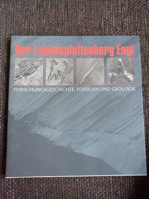 Der Landesplattenberg Engi - Forschungsgeschichte, Fossilien und Geologie