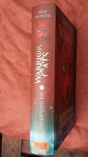 gebrauchtes Buch – Erin Hunter – Warrior Cats. Feuer und Eis - I, Band 2