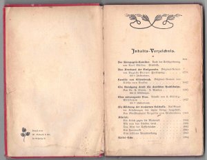 antiquarisches Buch – Illustrierte Haus-Bibliothek - Zur Unterhaltung und geistigen Anregung I.Jahrgang Band VIII. (Der Bibliothek Willkommen 4.Jahrgang)